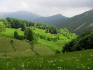 La verde parte bassa.