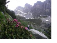 Le prime fioriture di stagione...