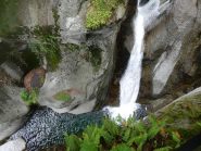 arrivo nella vasca olimpica