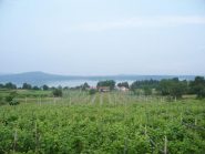 lago di Viverone