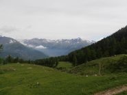 02 - praterie nel bosco salendo