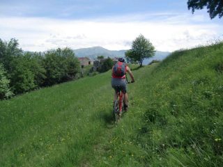 Pratoni rilassanti in vista delle granges de Gauron