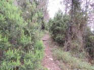 Il sentiero poco dopo la partenza