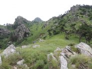 La cima dell'Argentea dal sentiero