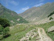 Più avanti il bosco lascia spazio ai prati