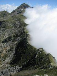 Linea di confine... regionale