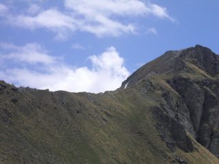 camosci visibili in cresta....