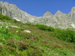 vallone ricco d'arbusti