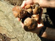 effetti collaterali ...