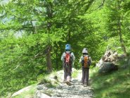 Al ritorno, nel lariceto, pensando alle prossime gite