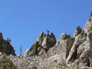 Stambecco esaltato dal Passo del Drous