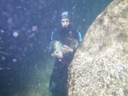 lorenzo prove in apnea