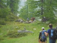 Verso l' Alpe Trucco