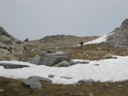 In discesa dal colle di Nel