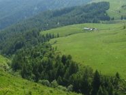 I pascoli son pronti per le mucche