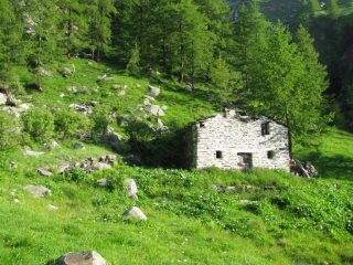 Grangia Pianei