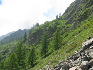 Cengie di discesa