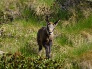 il piacere è tutto mio