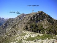 Lausa Bruna dal Monte Ciastella