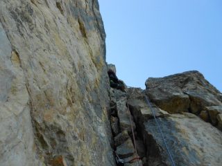 Nel camino