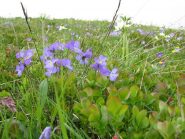 tavolozza di colori 1