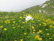 tavolozza di colori 2