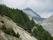 L'Oserot da Argentera