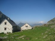 alpe Scaredi