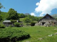 Alpe Sassello