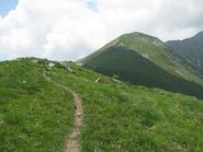 Verso Monte Arzola