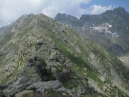La cresta oltre quota 2501