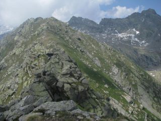 La cresta oltre quota 2501