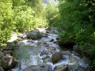 affluente del Po
