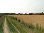 Vicino a Stupinigi  