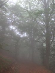 Sale la nebbia e diventa spettrale