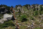 Il pendio risalito dal pianoro di Leseney e la finestra quota 2180 m