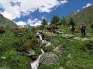 Bel sentiero di salita
