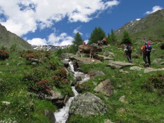 Bel sentiero di salita