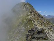 punta dondogna
