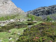 Il tratto percorso fuori sentiero in discesa