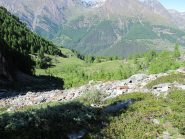 Scendendo in direzione dell'Alpe Vermiana inferiore