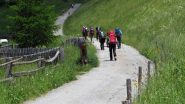 appena partiti lungo la stradina per il Rifugio Tisa (22-6-2012)