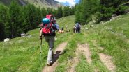 salendo le praterie iniziale del Vallone di Tisa (22-6-2012)