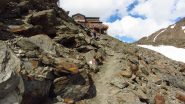 l'arrivo al Rifugio Similaun m. 3019 (22-6-2012)