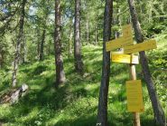 Segnaletica nel bosco