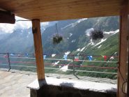 rifugio con bandierine e fiori
