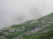 stambecco sullo sfondo