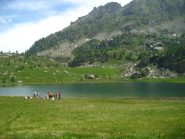arrivo al lago