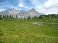 Courmaon e Punta Fourà