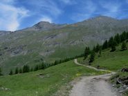 Verso l'Alpe Plane